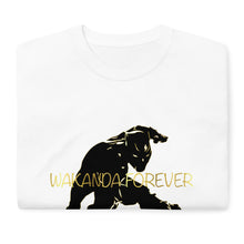 Load image into Gallery viewer, Short Sleeve T-Shirt - Frantz Benjamin