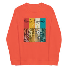 Load image into Gallery viewer, Vintage FB Unisex organic raglan sweatshirt - Frantz Benjamin