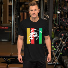 Load image into Gallery viewer, FB Lion Head Unisex t-shirt - Frantz Benjamin