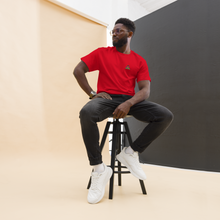 Load image into Gallery viewer, Haitian Flag Digital Pirnt - Frantz Benjamin

