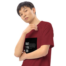 Load image into Gallery viewer, Men’s premium heavyweight tee - Frantz Benjamin
