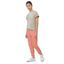 Load image into Gallery viewer, Unisex fleece sweatpants - Frantz Benjamin
