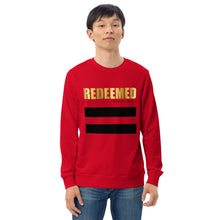 Load image into Gallery viewer, RD Unisex organic sweatshirt - Frantz Benjamin
