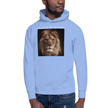 Load image into Gallery viewer, Unisex Hoodie - Frantz Benjamin
