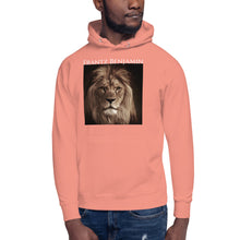 Load image into Gallery viewer, Unisex Hoodie - Frantz Benjamin

