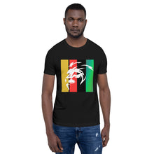 Load image into Gallery viewer, FB Lion Head Unisex t-shirt - Frantz Benjamin
